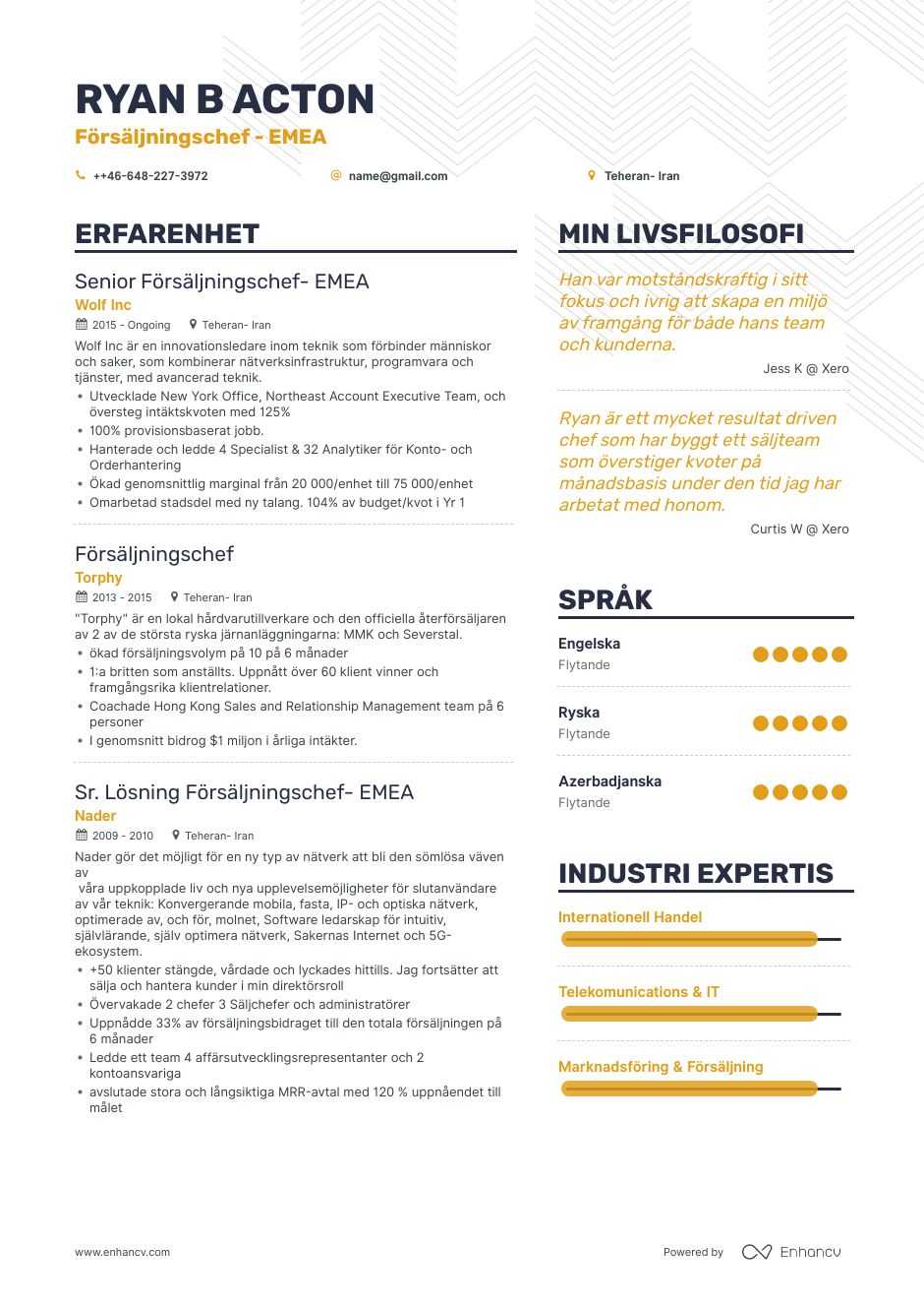 Exempel-CV för säljchefer
