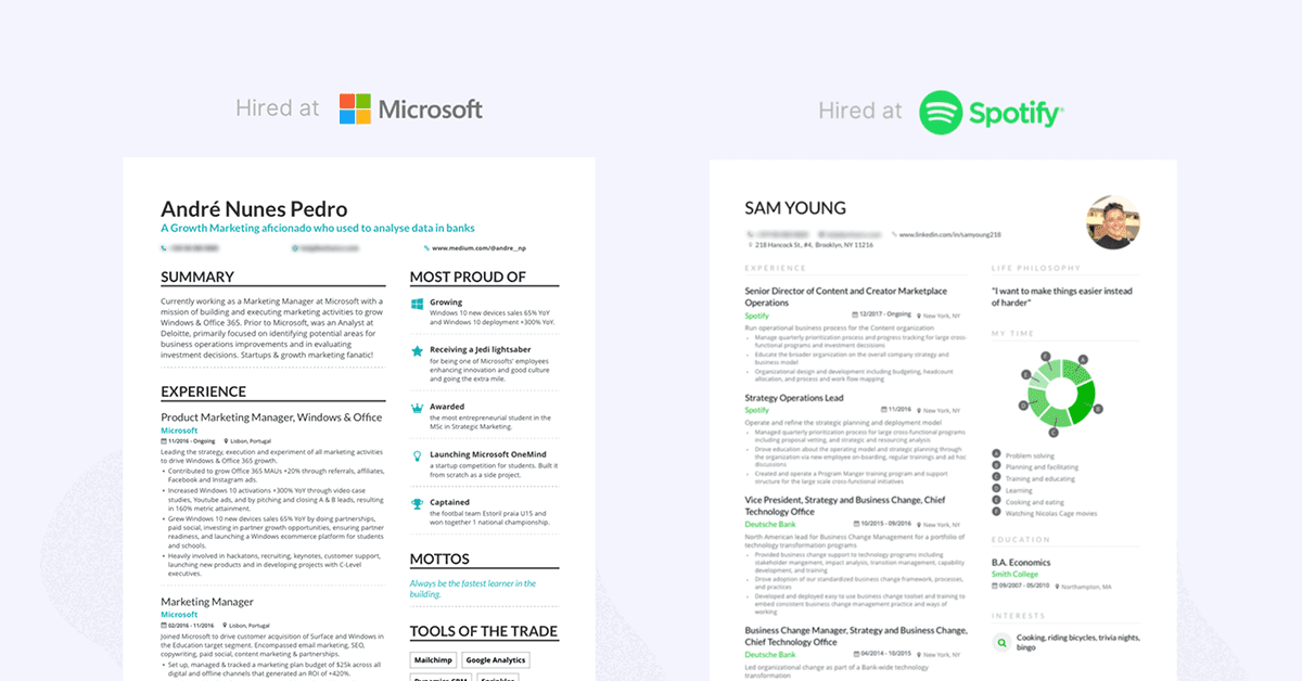 Enhancv A Guide To Types Of Resumes: Best Formats, Tips & Examples 
