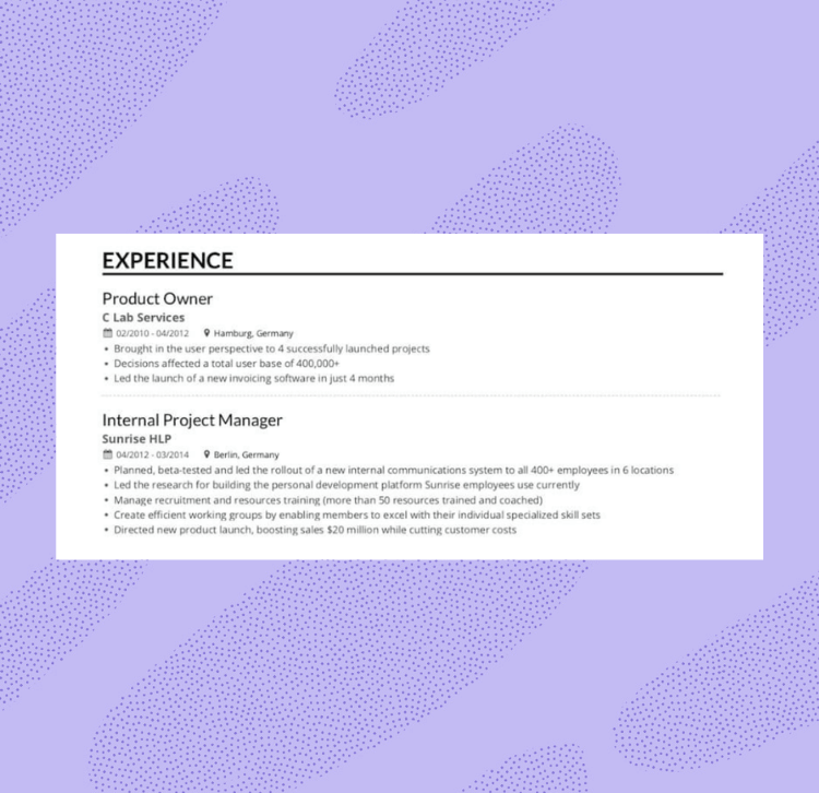 Enhancv The Best Resume Formats You Need to Consider (5+ Examples Included) 