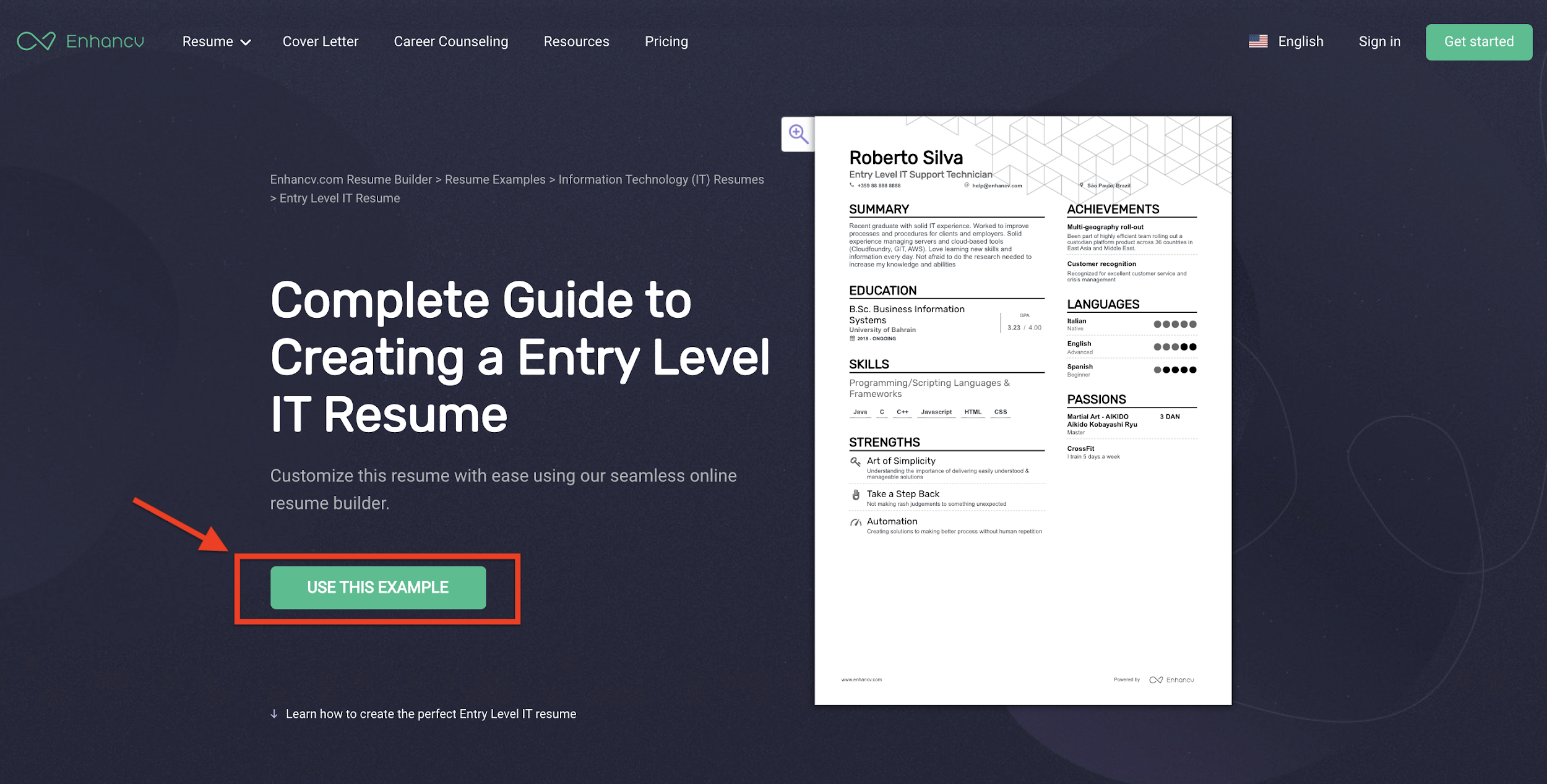 Enhancv Resume Sections: Everything You Need to Know 