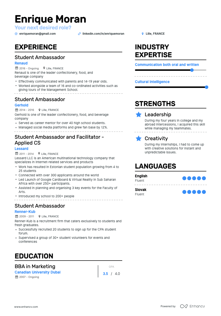 Enhancv Resume Sections: Everything You Need to Know 