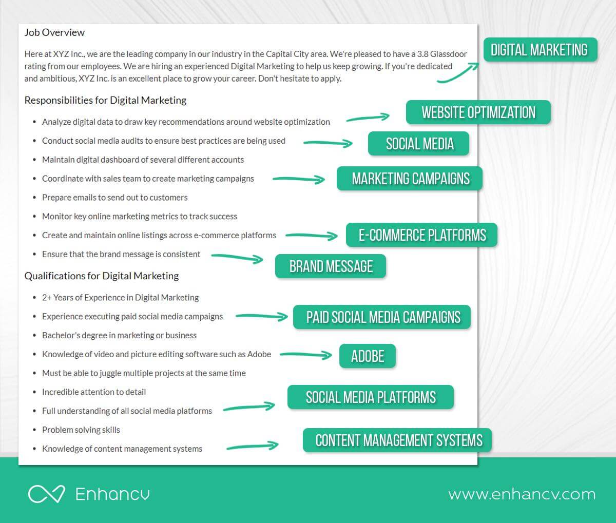 Enhancv Resume Keywords: 200+ Resume Keywords Sorted By Industry 