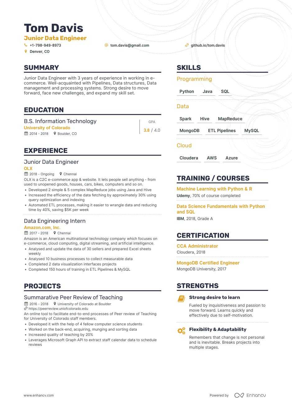 data engineer resume projects