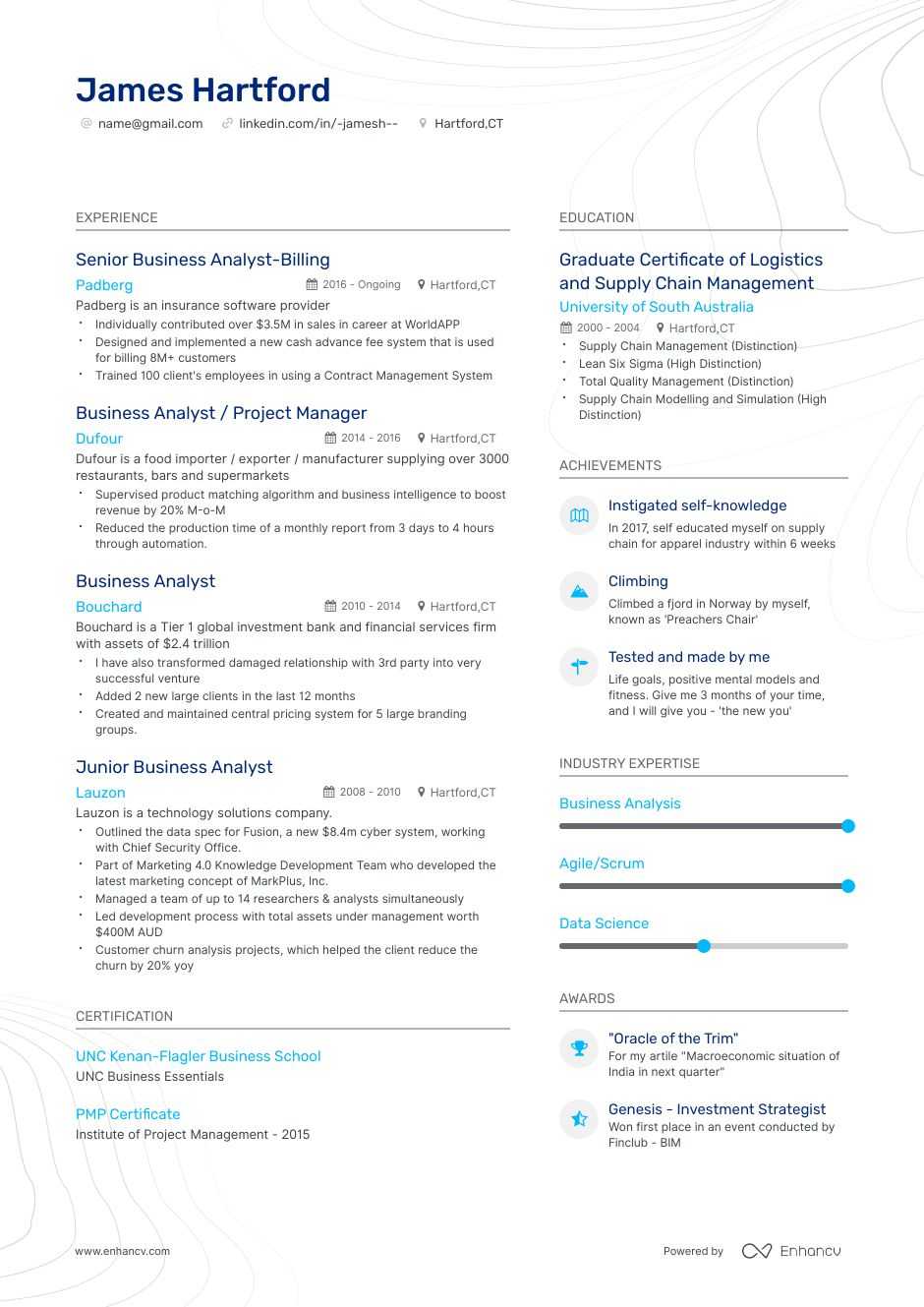 Business Analyst Resume Examples Samples And Tips