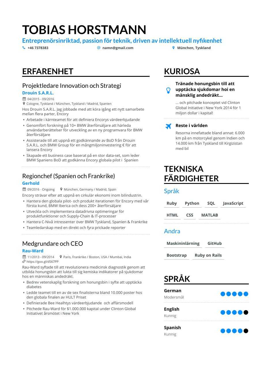 Exempel-CV för projektledare