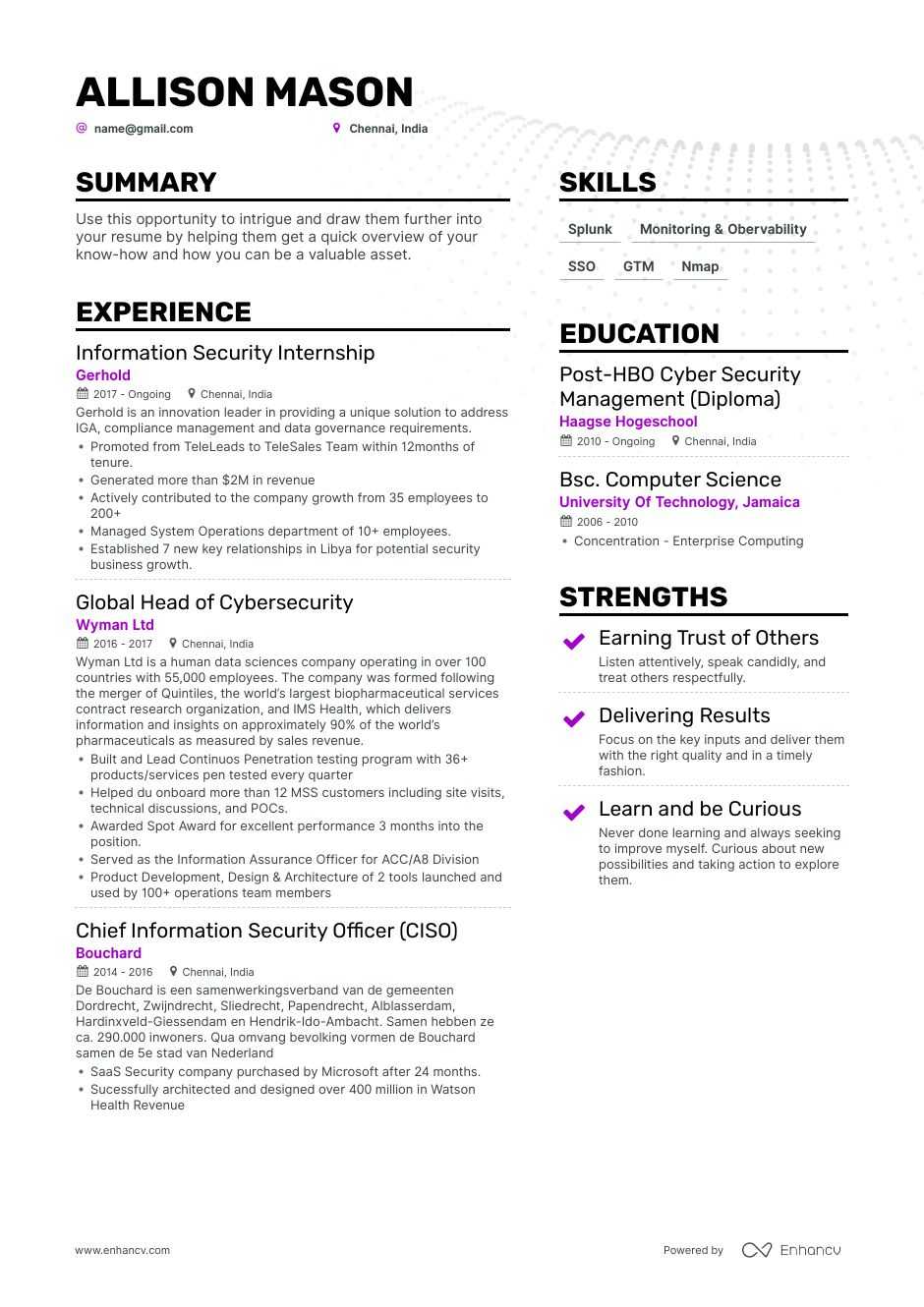 security resume example