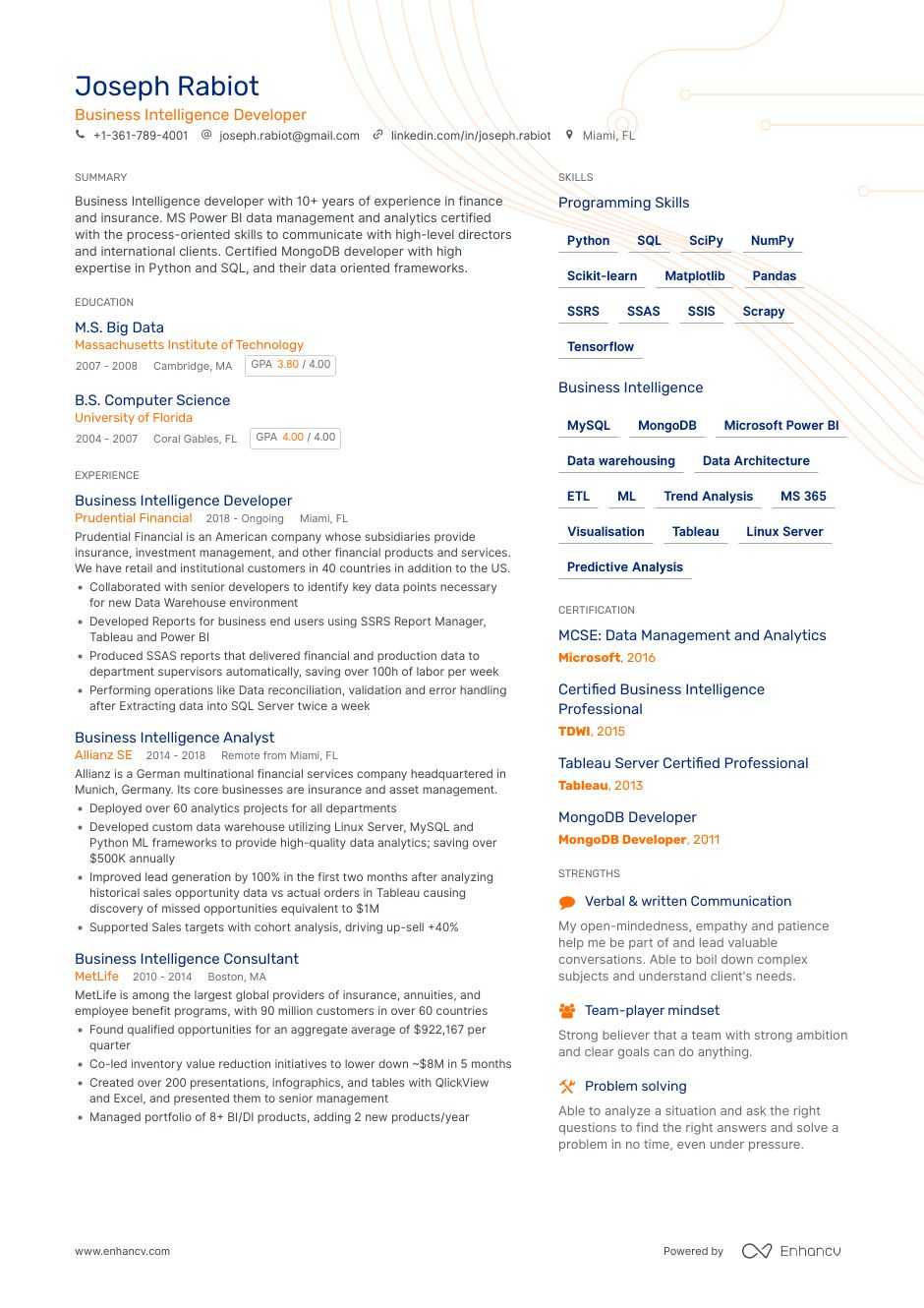 Business Intelligence Resume Examples Templates Expert Advice