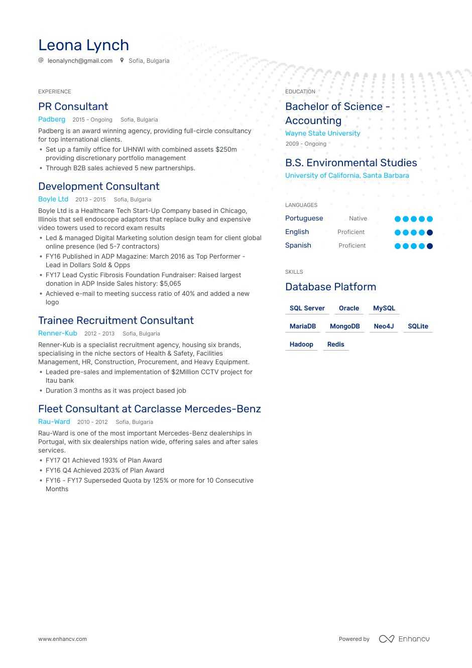 consultant resume example