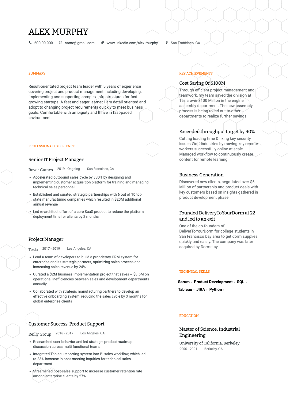 functional resume microsoft word template
