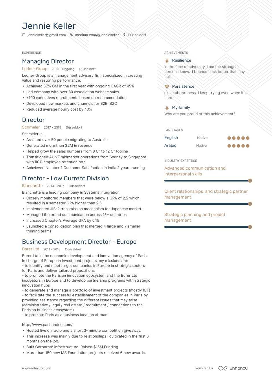 Director Resume Example And Guide For 2020