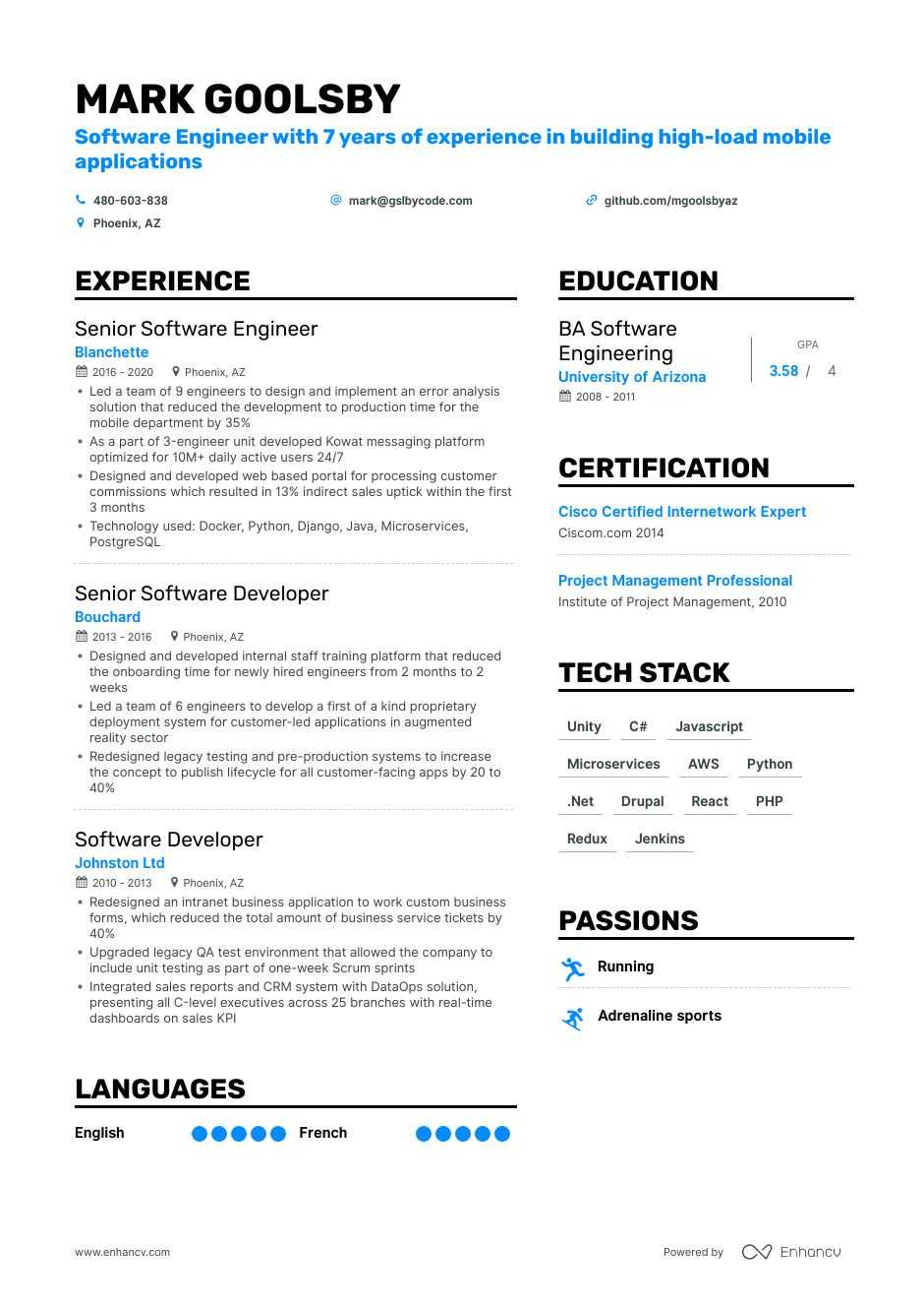 example of infographic resume technology
