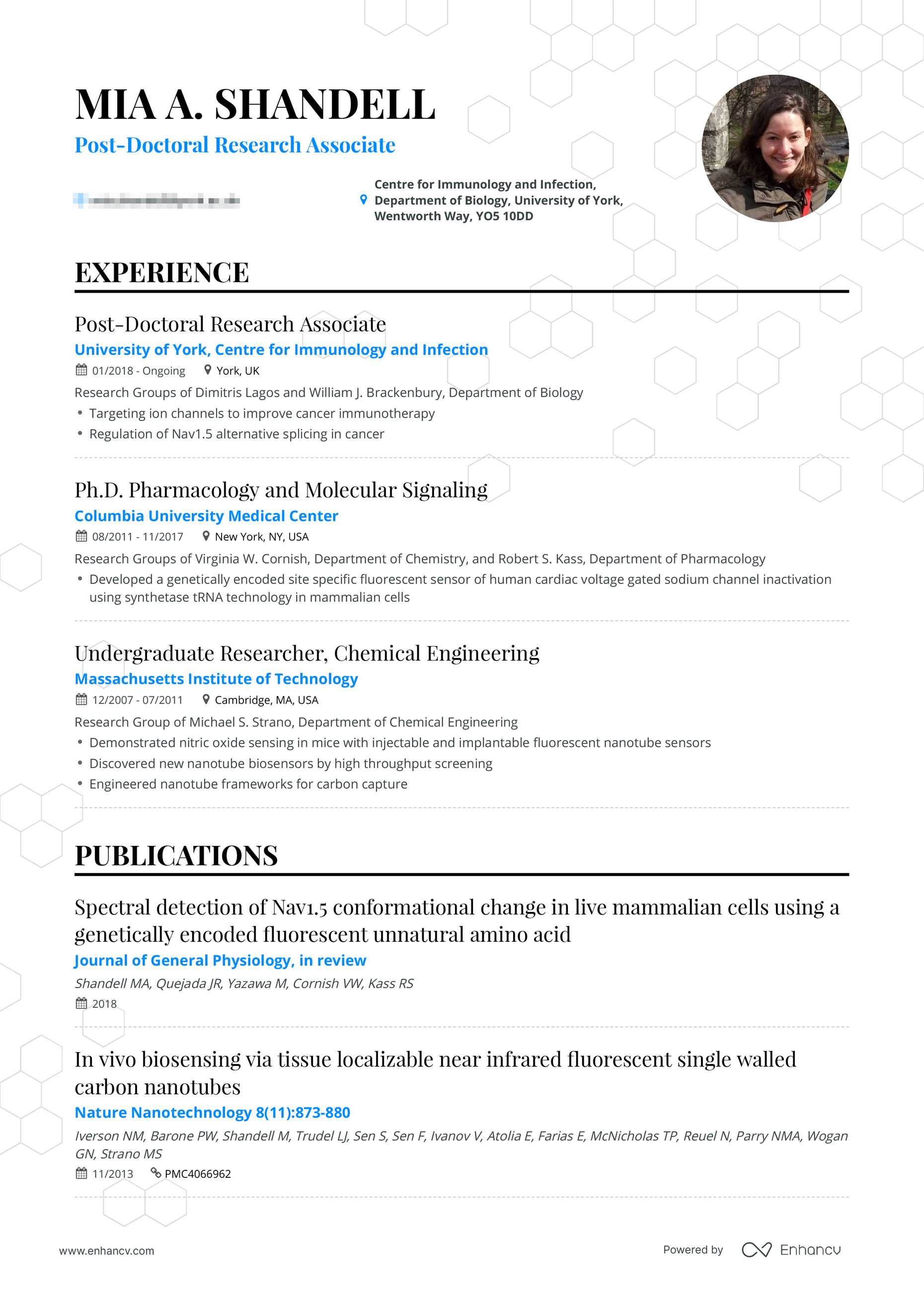 professional-cv-resume-builder-pricing-enhancv
