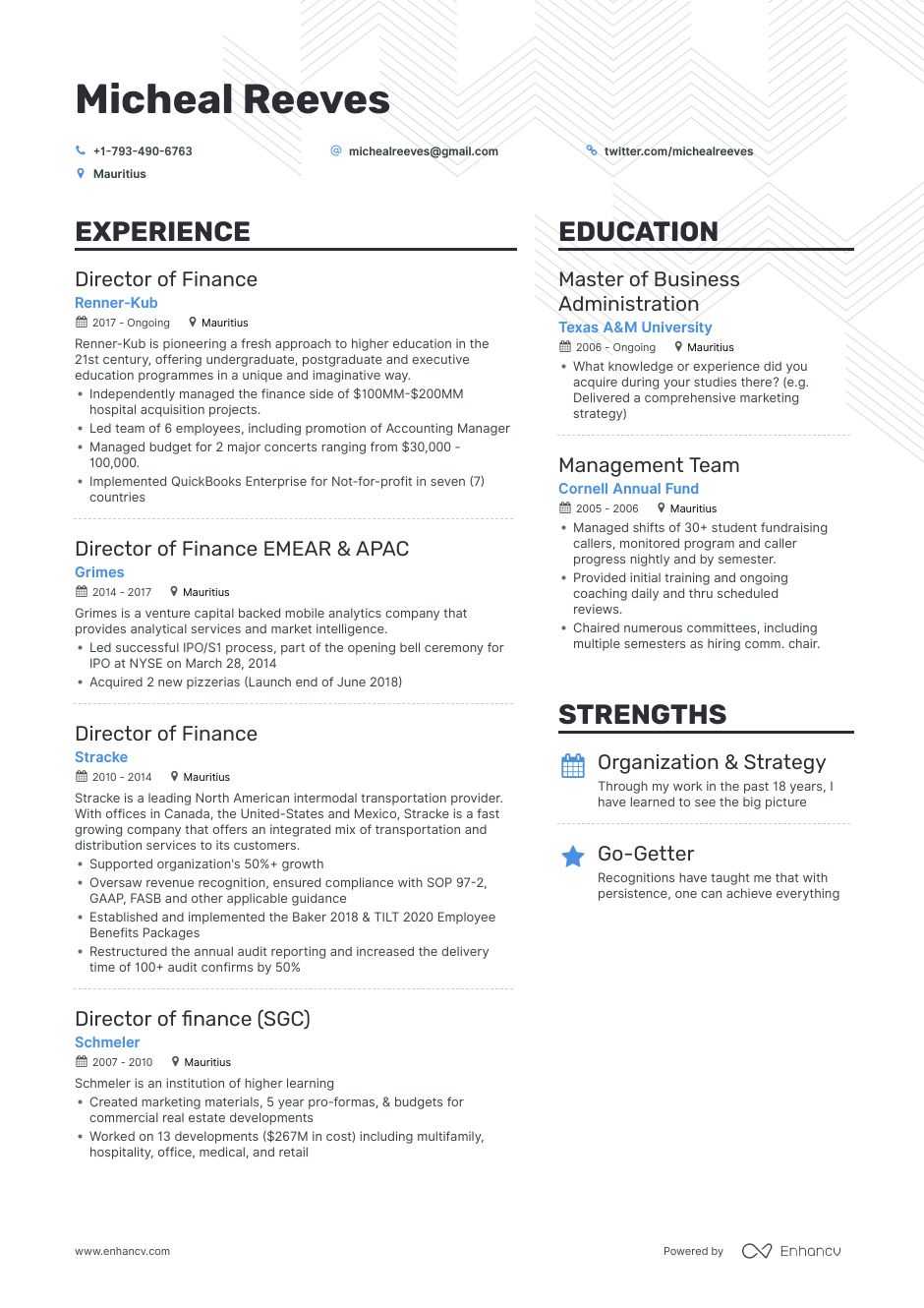 Top Director Of Finance Resume Examples & Samples for 2021 ...