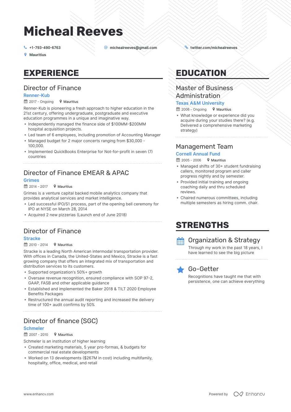 Top Director Of Finance Resume Examples Samples For 2021 Enhancv