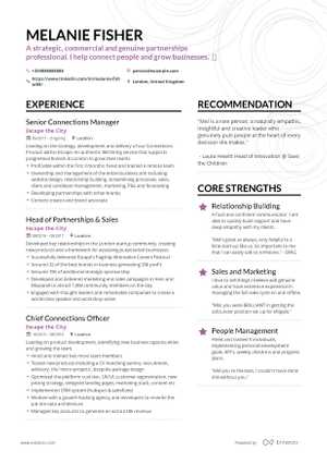 The best 2019 sales resume example guide