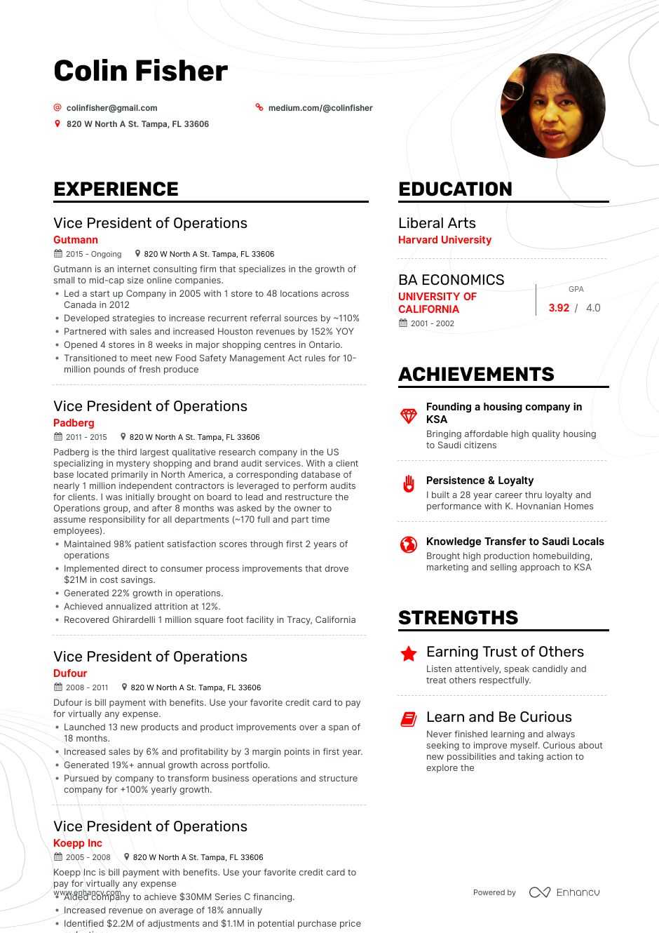 vice president of sales resume examples