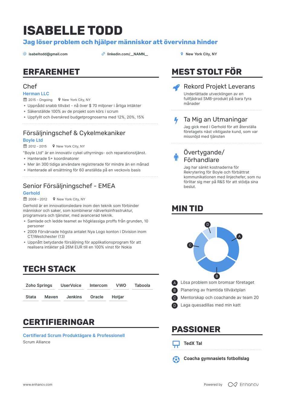 Exempel-CV för Management