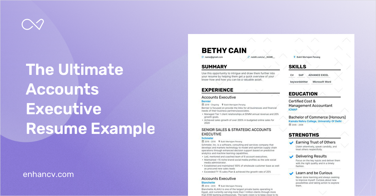 Accounts Executive Resume Examples & Guide for 2022