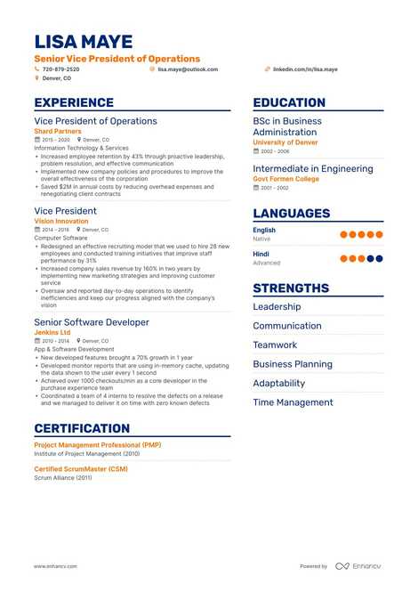 Vice President Resume Samples + Expert-Driven Tips