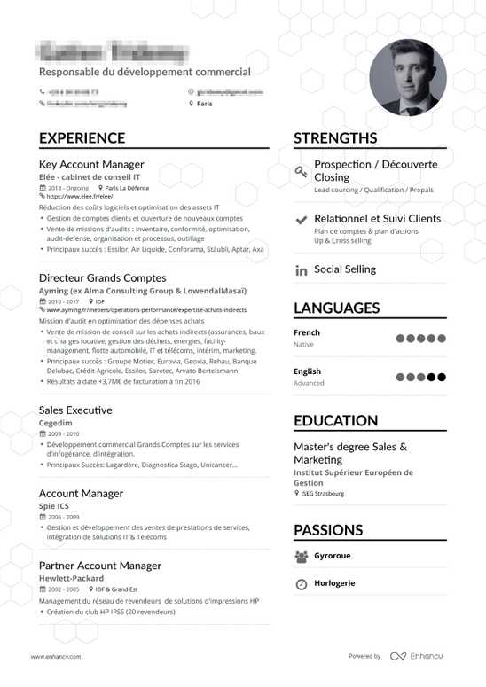 Exemple de CV d'un Responsable du développement commercial, Account Manager, Directeur