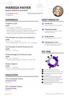 marissa mayer one page cv word download template