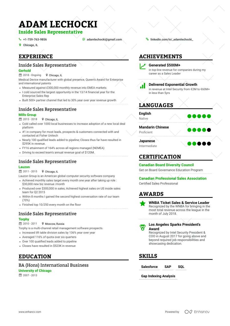 Inside Sales Resume Samples and Writing Guide for 2020 ...