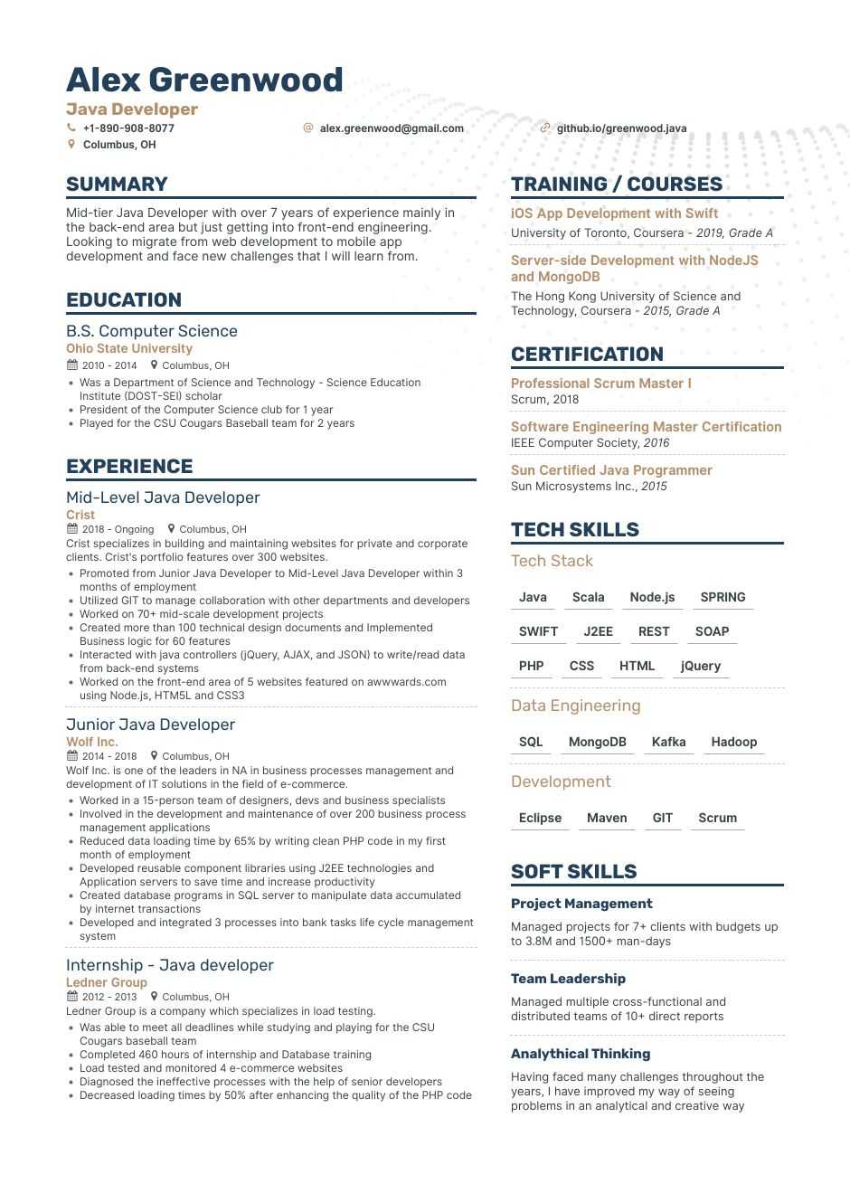 Java Developer Resume Guide Samples