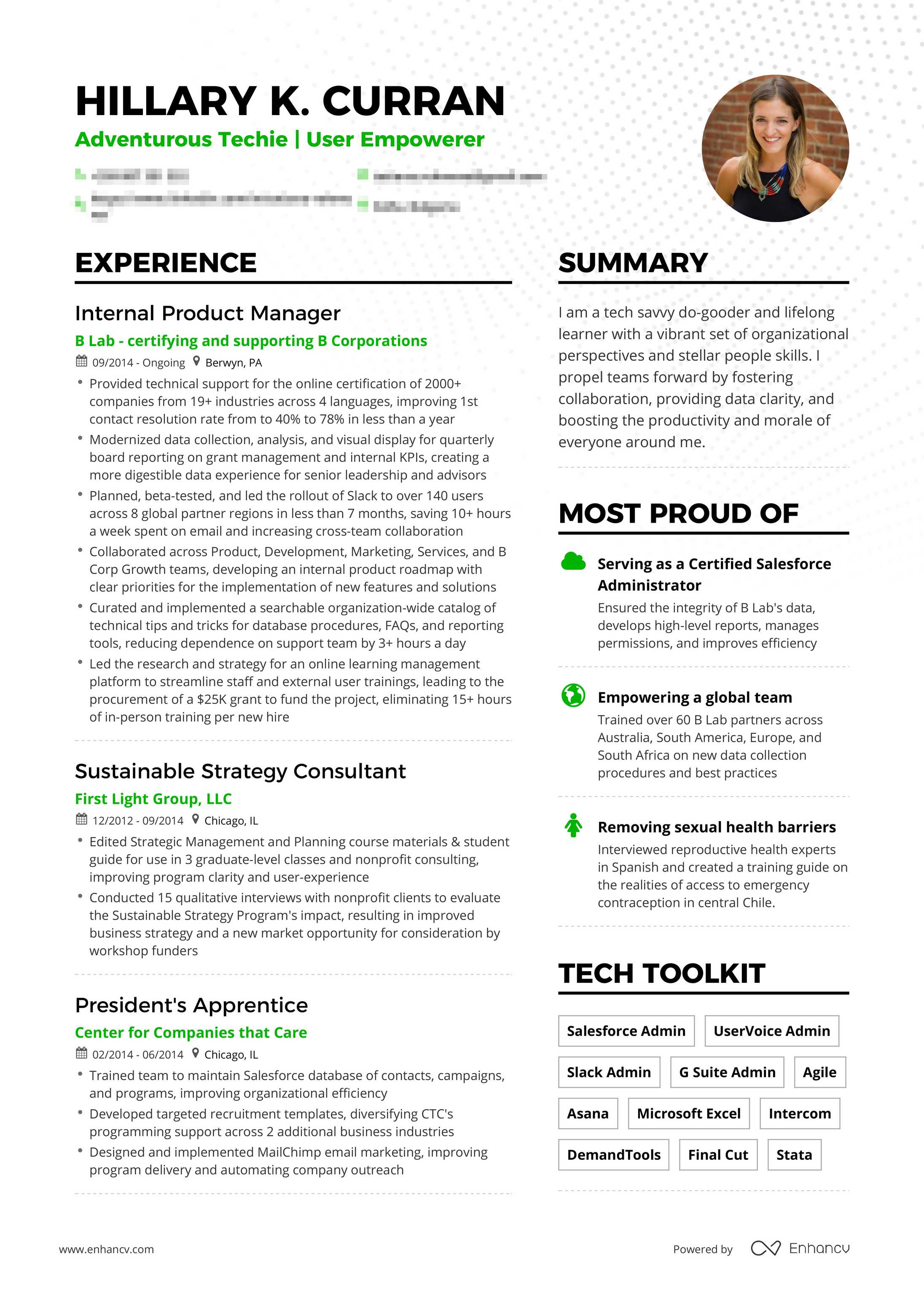 great cv examples