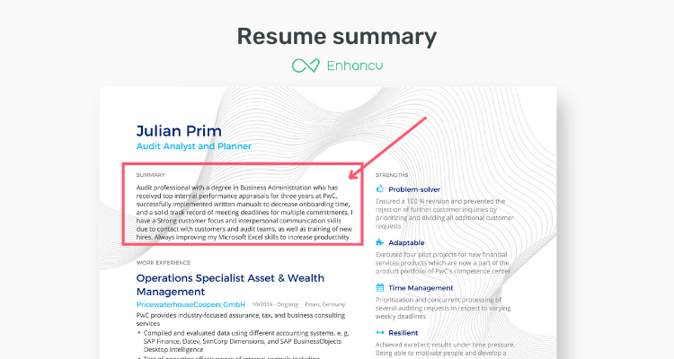 resume summary - Enhancv resume examples article image