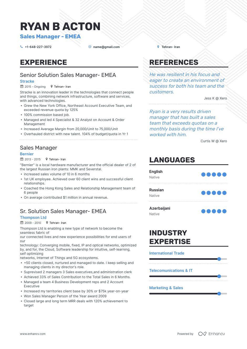 best sales professional resume template 2017